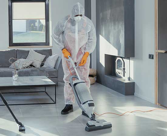 Furniture Pest Treatment